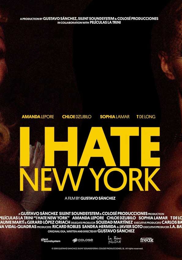 I-hate-new-york
